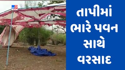 Gujarati video : તાપી જિલ્લામાં મેઘ કહેર, ક્યાંક લગ્નના મંડપ ઉડ્યા તો ક્યાંક વૃક્ષ ધરાશાયી