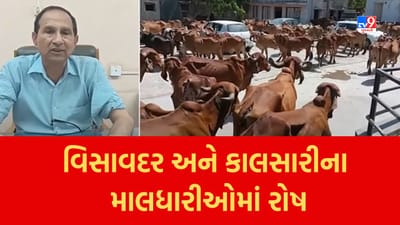 Gujarati Video : જૂનાગઢમાં વિસાવદર અને કાલસારીના માલધારીઓમાં રોષ, 80 જેટલા પશુ લઇ મામલતદાર કચેરીએ પહોંચ્યા