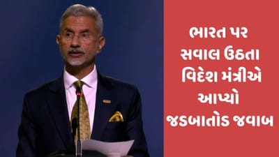 રશિયા પાસેથી તેલ ખરીદવા પર ઉઠાવ્યા સવાલ, તો વિદેશ મંત્રીએ EU વિદેશ નીતિના પ્રતિનિધિને બતાવ્યો અરીસો