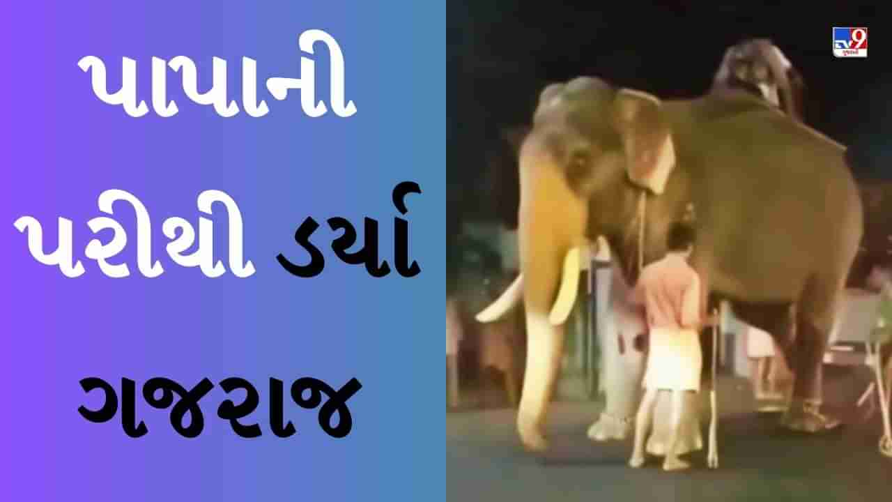 Viral Video : લહેરાતી આવી સ્કૂટી ગર્લ અને ગજરાજને મારી ટક્કર, જોવા જેવું છે હાથીનું રિએક્શન