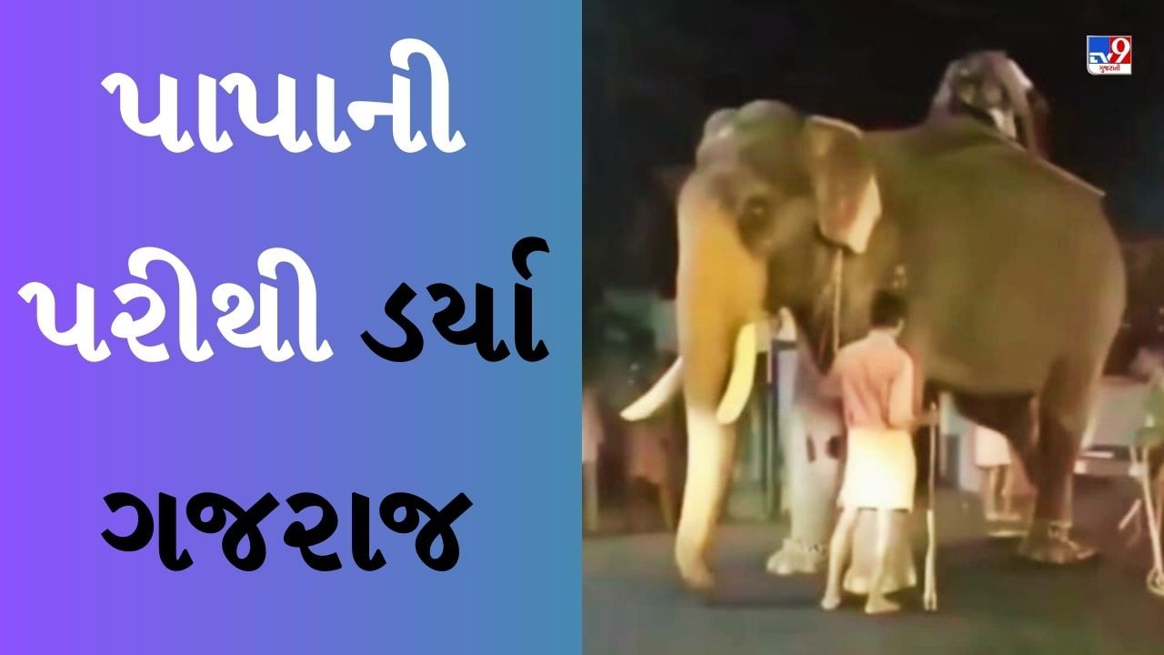 Viral Video : લહેરાતી આવી 'સ્કૂટી ગર્લ' અને ગજરાજને મારી ટક્કર, જોવા જેવું છે હાથીનું રિએક્શન