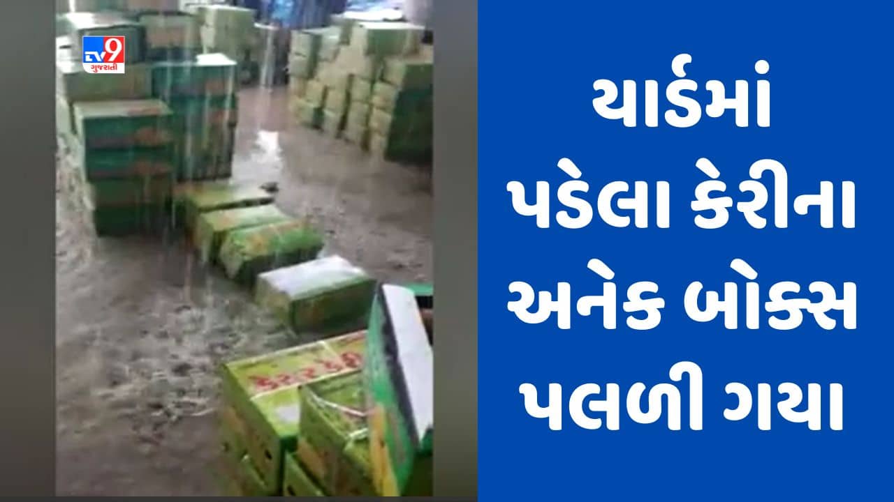 Gujarati video : કચ્છના અંજાર માર્કેટ યાર્ડમાં વરસાદથી વ્યાપક પ્રમાણમાં નુકસાન, કેરીના અનેક બોક્સ પલળી ગયા