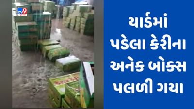Gujarati video : કચ્છના અંજાર માર્કેટ યાર્ડમાં વરસાદથી વ્યાપક પ્રમાણમાં નુકસાન, કેરીના અનેક બોક્સ પલળી ગયા