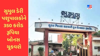 Breaking News : પશુપાલકો માટે સારા સમાચાર, સુમુલ ડેરી પશુપાલકોને 350 કરોડ રૂપિયા બોનસ ચૂકવશે