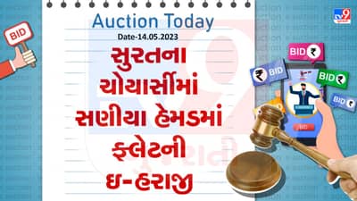 Auction Today : સુરતના ચોયાર્સીમાં સણીયા હેમડમાં ફ્લેટની ઇ- હરાજી, જાણો વિગતો