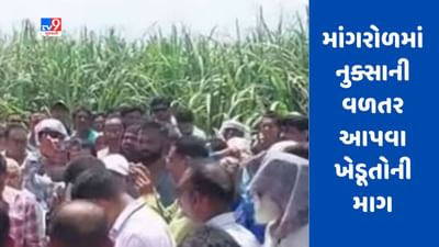 Gujarati Video : સુરતના માંગરોળમાં કમોસમી વરસાદનું નુક્સાની વળતર આપવા ખેડૂતોની માગ Gujarati Video : સુરતના માંગરોળમાં કમોસમી વરસાદનું નુક્સાની વળતર આપવા ખેડૂતોની માગ