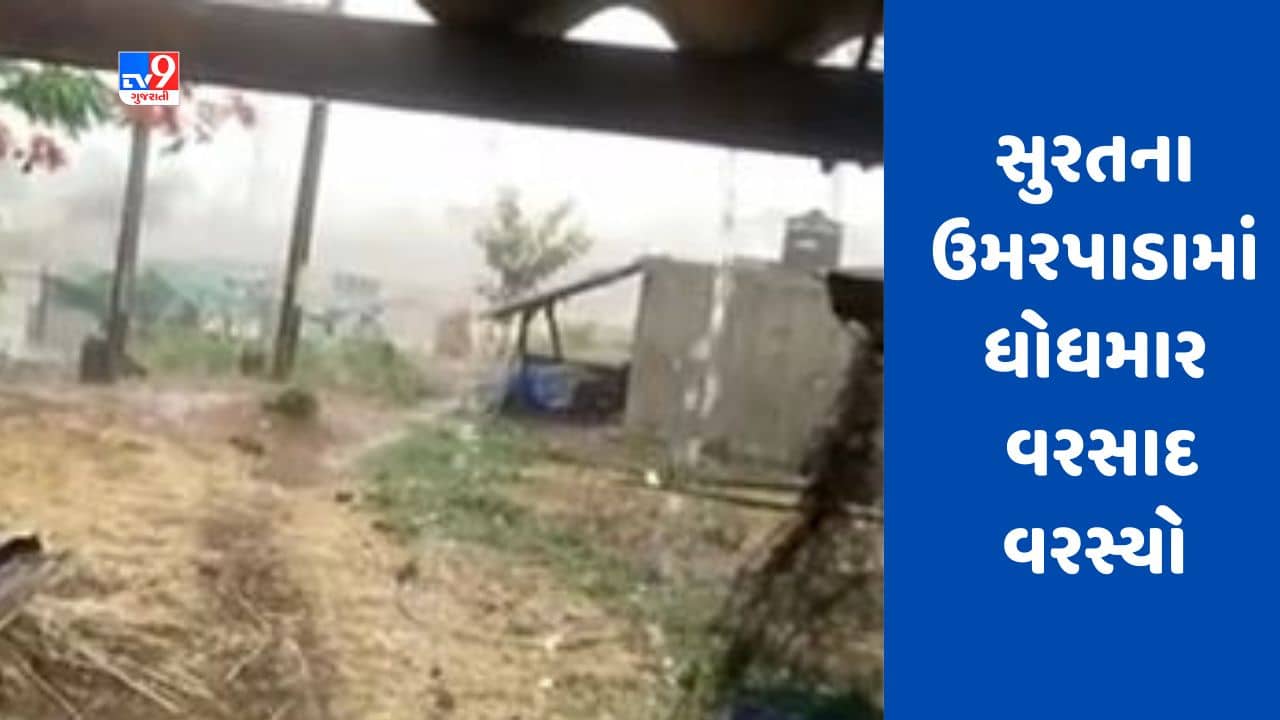 Gujarati Video : સુરતના ઉમરપાડામાં વીજળીના કડાકા ભડાકા સાથે વરસાદ, ખેડૂતો મુશ્કેલીમાં