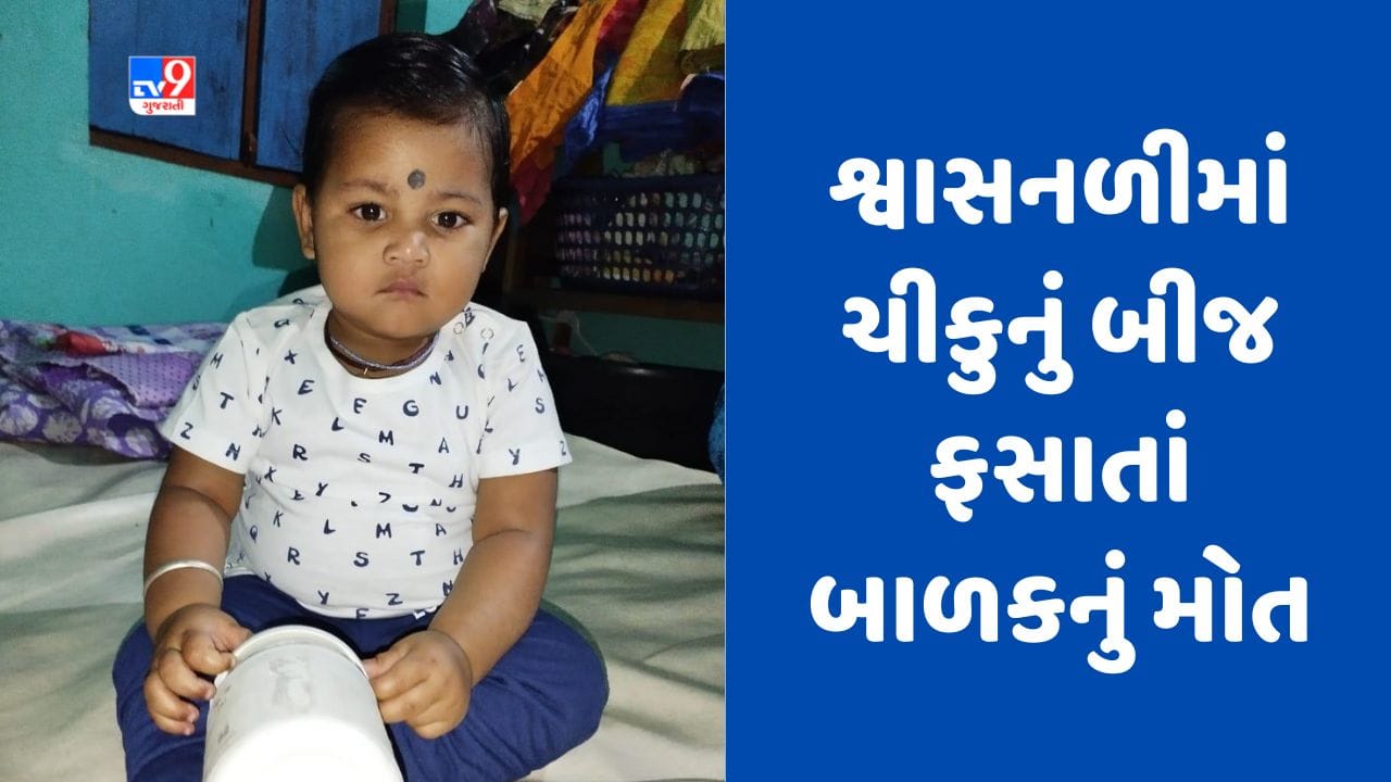 Gujarati Video : સુરતના ઉધના વિસ્તારમાં ચીકુનું બીજ શ્વાસનળીમાં ફસાતાં બાળકનું મોત Gujarati Video : સુરતના ઉધના વિસ્તારમાં ચીકુનું બીજ શ્વાસનળીમાં ફસાતાં બાળકનું મોત