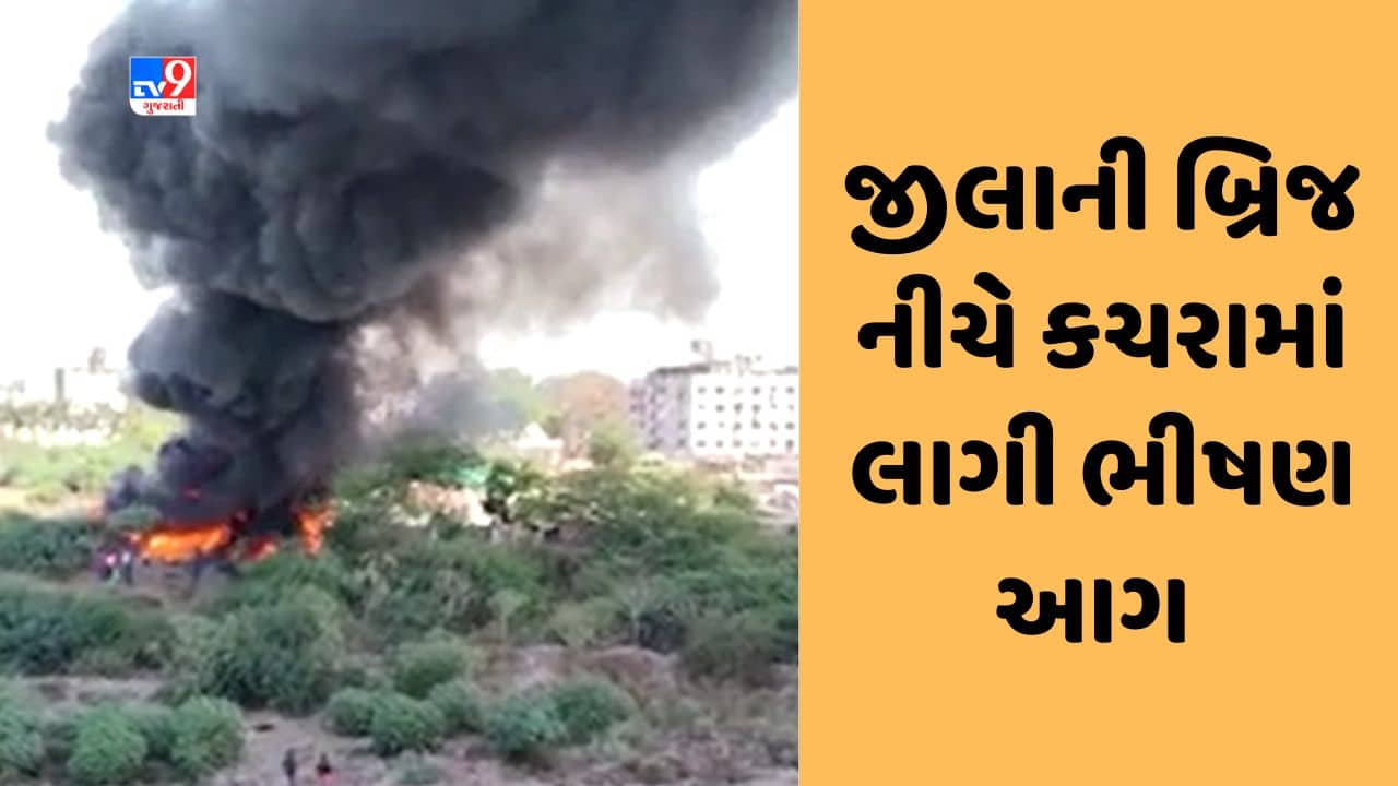 Gujarati Video : સુરતના જીલાની બ્રિજ નીચે કચરામાં લાગેલી આગ ઝુંપડાઓમાં ફેલાઇ, ફાયર વિભાગની ટીમ સ્થળ પર પહોંચી