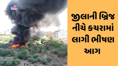 Gujarati Video : સુરતના જીલાની બ્રિજ નીચે કચરામાં લાગેલી આગ ઝુંપડાઓમાં ફેલાઇ, ફાયર વિભાગની ટીમ સ્થળ પર પહોંચી Gujarati Video : સુરતના જીલાની બ્રિજ નીચે કચરામાં લાગેલી આગ ઝુંપડાઓમાં ફેલાઇ, ફાયર વિભાગની ટીમ સ્થળ પર પહોંચી