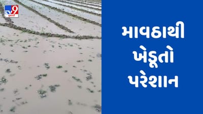 Gujarati Video : લખતર પંથકમાં કમોસમી વરસાદ, તલનો પાક આડો પડી જતા નુકસાનની ભીતિ