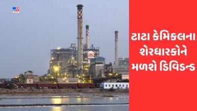 Tata Chemicals Dividend: ટાટા કેમિકલના નફામાં તગડો વધારો, શેરધારકોને મળશે આટલુ ડિવિડન્ડ, વાંચો અહેવાલ