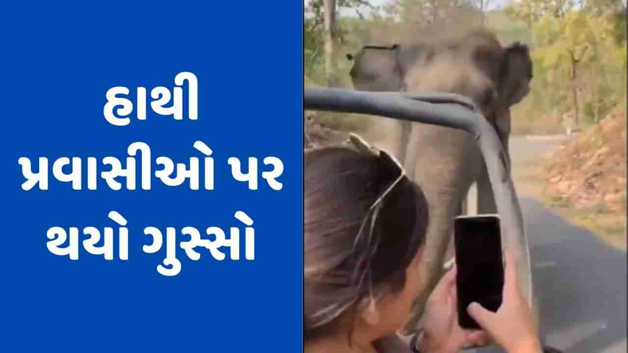 Viral Video: પ્રવાસીઓએ કર્યો અવાજ, હાથી થયો ગુસ્સે, પ્રવાસીઓ પર કર્યો જોરદાર હુમલો!