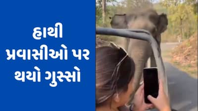 Viral Video: પ્રવાસીઓએ કર્યો અવાજ, હાથી થયો ગુસ્સે, પ્રવાસીઓ પર કર્યો જોરદાર હુમલો!