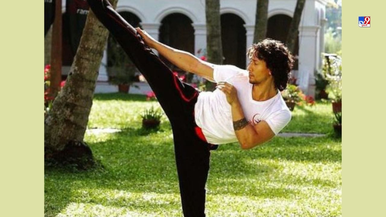 જેમાં તે ઉંચી કૂદથી મુર્તિને કિક મારતો જોવા મળ્યો હતો. વીડિયો સામે આવતા જ ચાહકોએ ટાઈગરના જોરદાર વખાણ કર્યા હતા.
