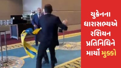 અચાનક એવું તો શું બન્યુ કે યુક્રેનના ધારાસભ્યએ રશિયન પ્રતિનિધિને માર્યો જોરદાર મુક્કો ? ઘટનાનો VIDEO થયો VIRAL