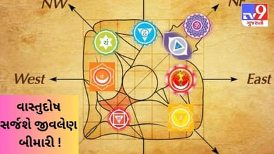 વાસ્તુ સંબંધિત આ ભૂલો સર્જી દે છે ભયંકર મુસીબત ! ઘરના સભ્યો પર વધી જાય છે જીવલેણ બીમારીનું જોખમ !