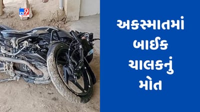 Gujarati Video : વલસાડના પારડીના ધગળમાળમાં અકસ્માત, બાઈક ચાલકનું ઘટના સ્થળે મોત