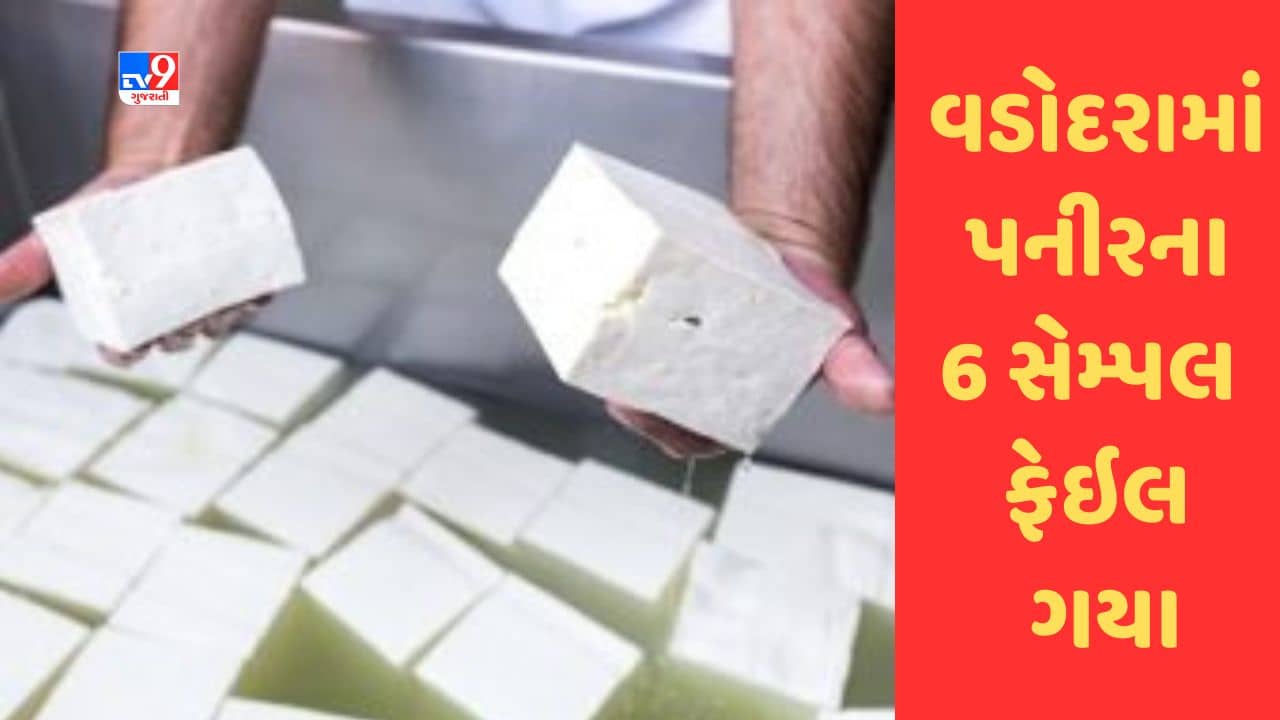 Gujarati Video : વડોદરામાં પનીરના 6 સેમ્પલ ફેઇલ ગયા, આ વસ્તુની કરવામાં આવતી હતી ભેળસેળ