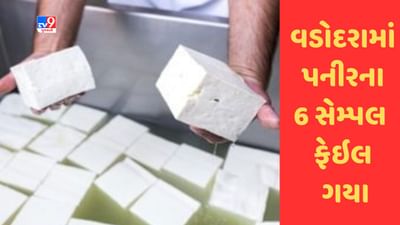 Gujarati Video : વડોદરામાં પનીરના 6 સેમ્પલ ફેઇલ ગયા, આ વસ્તુની કરવામાં આવતી હતી ભેળસેળ Gujarati Video : વડોદરામાં પનીરના 6 સેમ્પલ ફેઇલ ગયા, આ વસ્તુની કરવામાં આવતી હતી ભેળસેળ