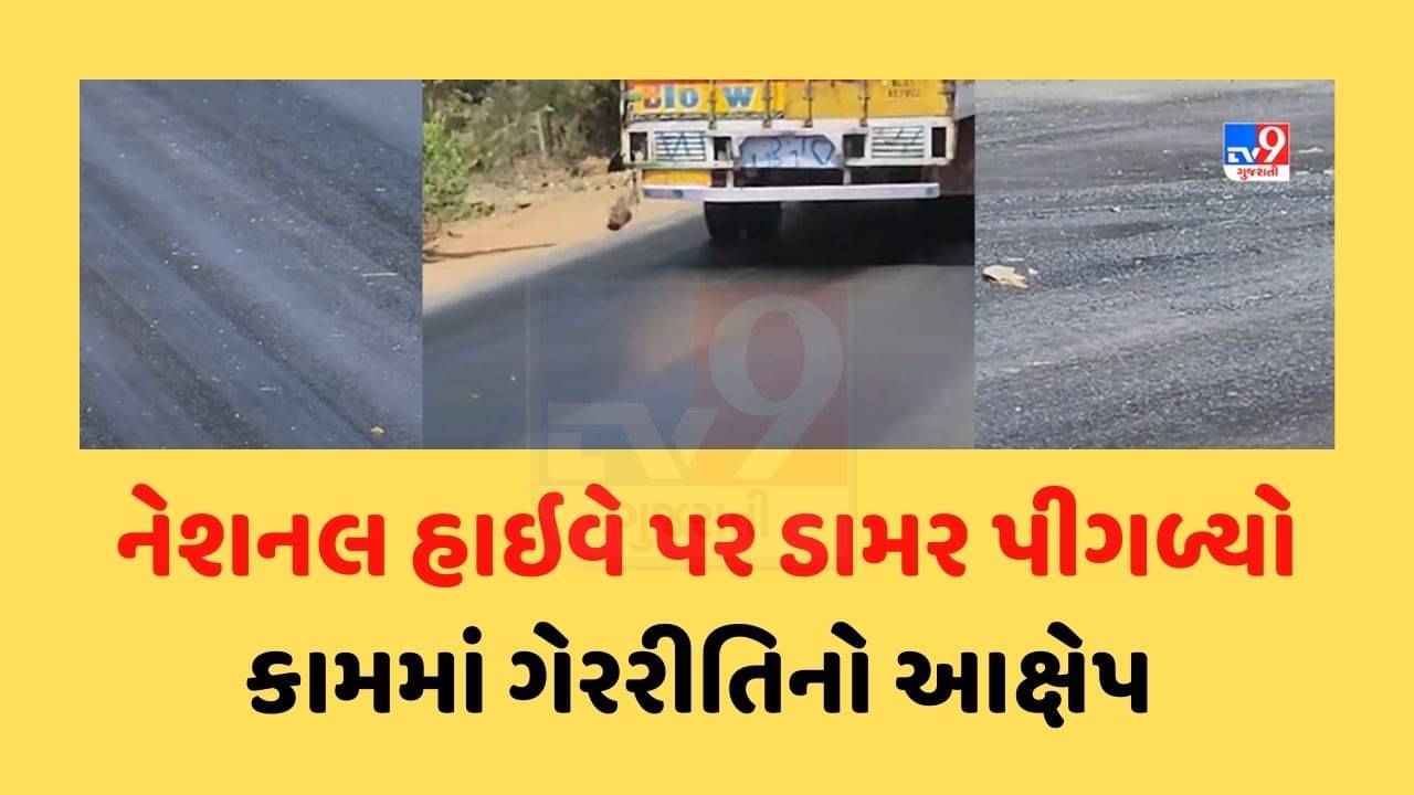 Valsad : નેશનલ હાઇવે પર ડામર પીગળ્યો, 22 કરોડથી વધુનો ખર્ચ કરવા છતા કામમાં ગેરરીતિનો આક્ષેપ, જુઓ Video