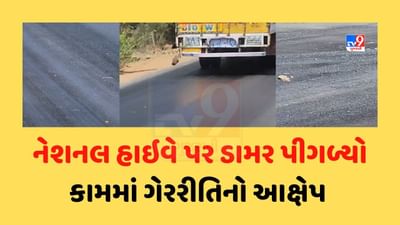 Valsad : નેશનલ હાઇવે પર ડામર પીગળ્યો, 22 કરોડથી વધુનો ખર્ચ કરવા છતા કામમાં ગેરરીતિનો આક્ષેપ, જુઓ Video
