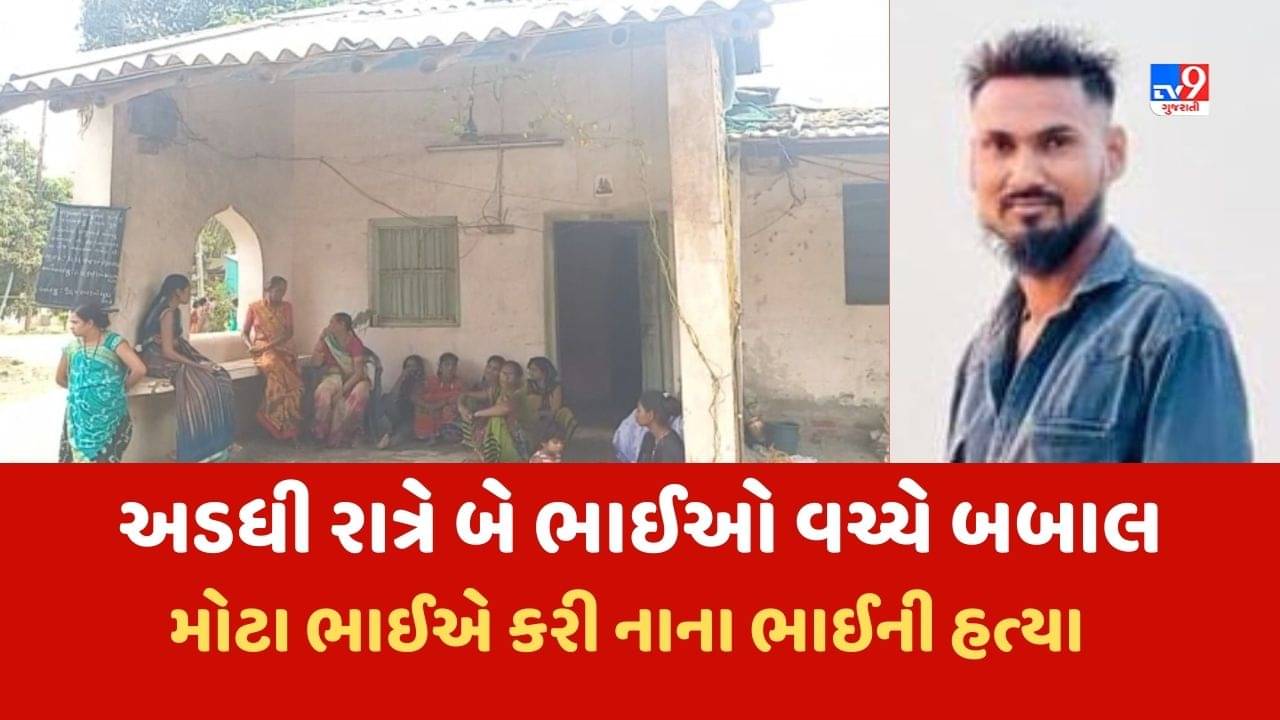 Valsad : વાપીમાં મોટા ભાઈએ કરી નાના ભાઈની હત્યા, સળિયા વડે માર મારી ભાઇને ઉતાર્યો મોતને ઘાટ, જુઓ Video