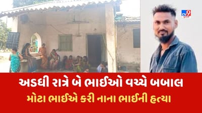 Valsad : વાપીમાં મોટા ભાઈએ કરી નાના ભાઈની હત્યા, સળિયા વડે માર મારી ભાઇને ઉતાર્યો મોતને ઘાટ, જુઓ Video