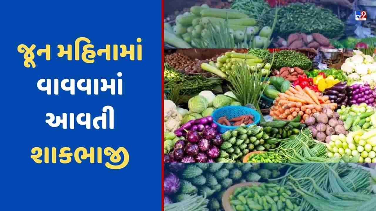 June Month Crop: જૂન મહિનામાં વાવો આ શાકભાજી, લાંબા સમય સુધી થશે મોટી કમાણી