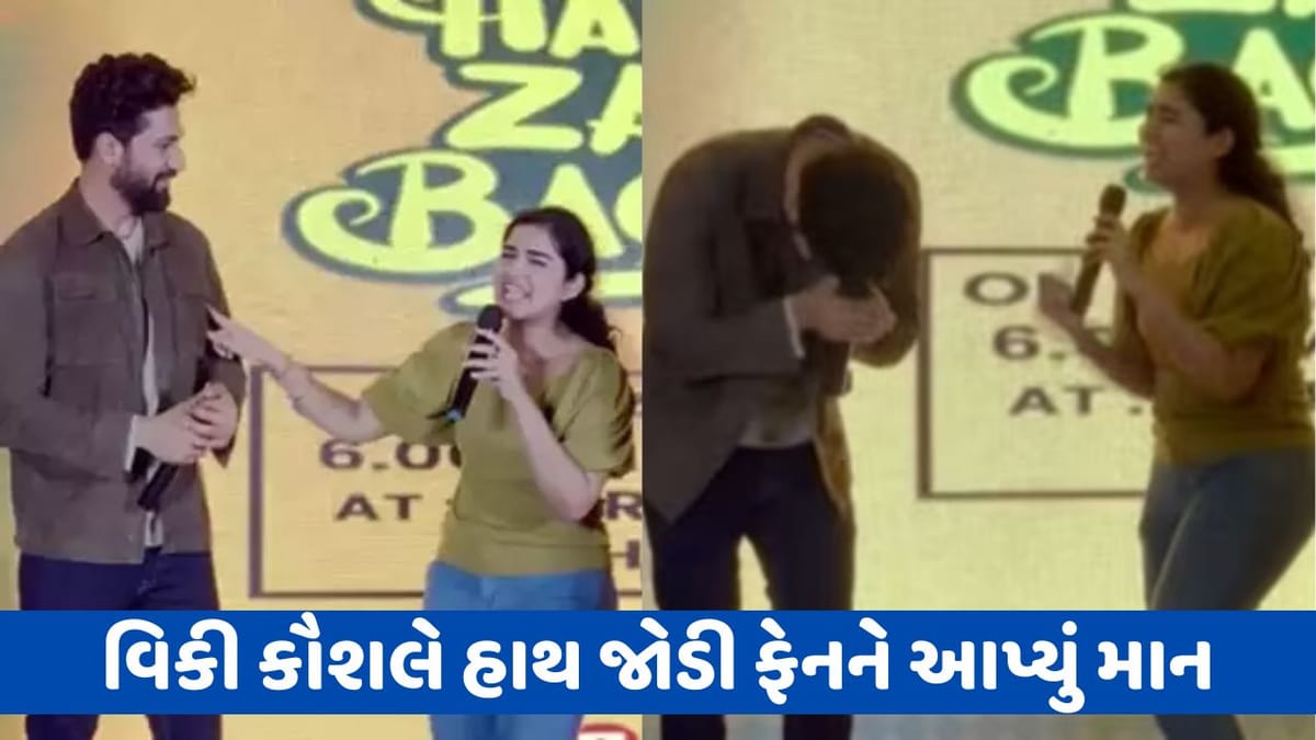 વિકી કૌશલને જોઈને ફેન થઈ ગયા પાગલ, કહ્યું- કેટરિના આ જન્મમાં તમારી છે પણ તમે દરેક જન્મમાં મારા છો, જુઓ Video વિકી કૌશલને જોઈને ફેન થઈ ગયા પાગલ, કહ્યું- કેટરિના આ જન્મમાં તમારી છે પણ તમે દરેક જન્મમાં મારા છો, જુઓ Video