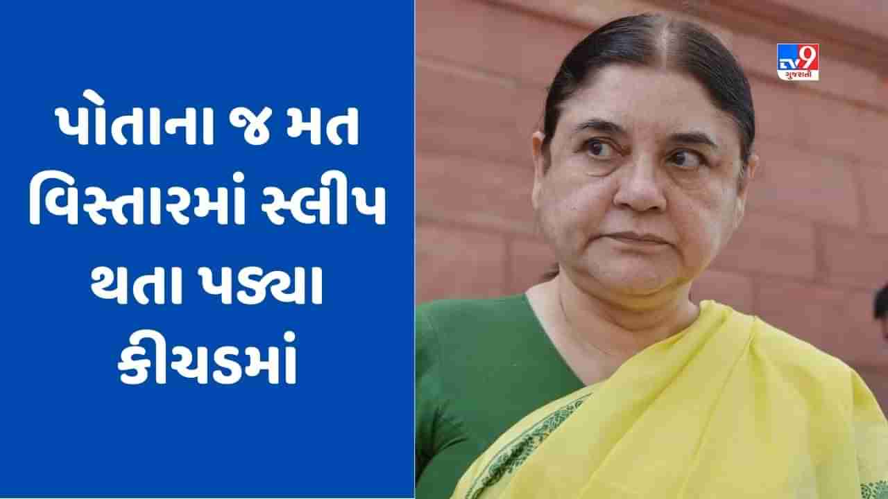 Video Viral: ભાજપ સાંસદ મેનકા ગાંધી પડ્યા કાદવમાં, સુલતાનપુરના વિકાસની ખુલી પોલ