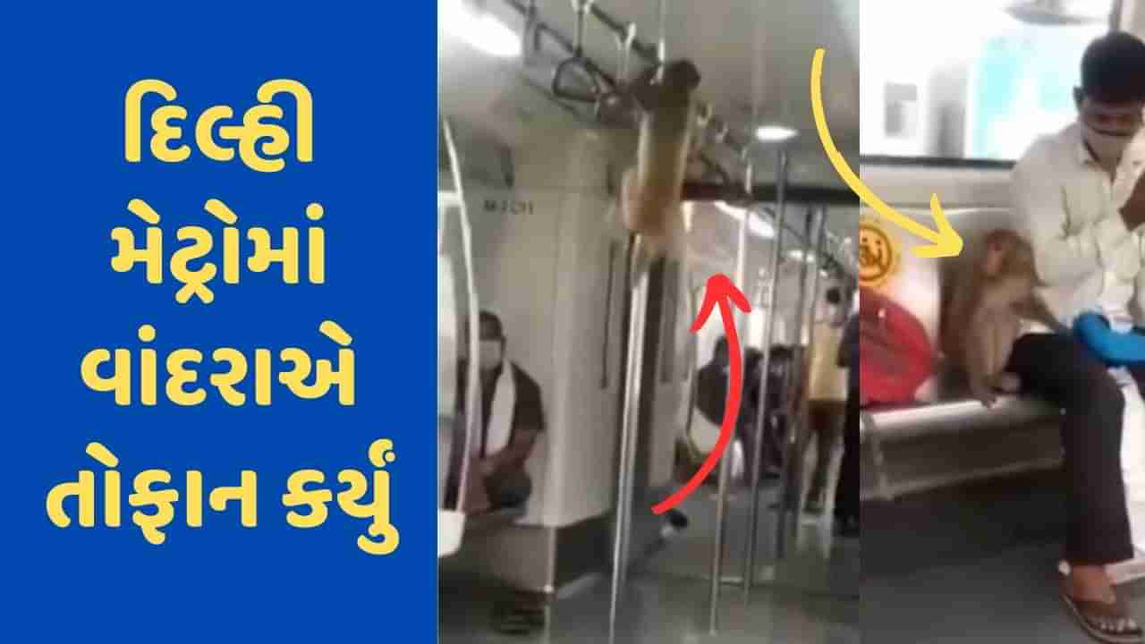 Viral Video: દિલ્હી મેટ્રોમાં વાંદરાનું તોફાન, પોલ ડાન્સથી આશ્ચર્યચકિત થઈ ગયા મુસાફરો, વીડિયો જોઈને લોકો હસી પડ્યા