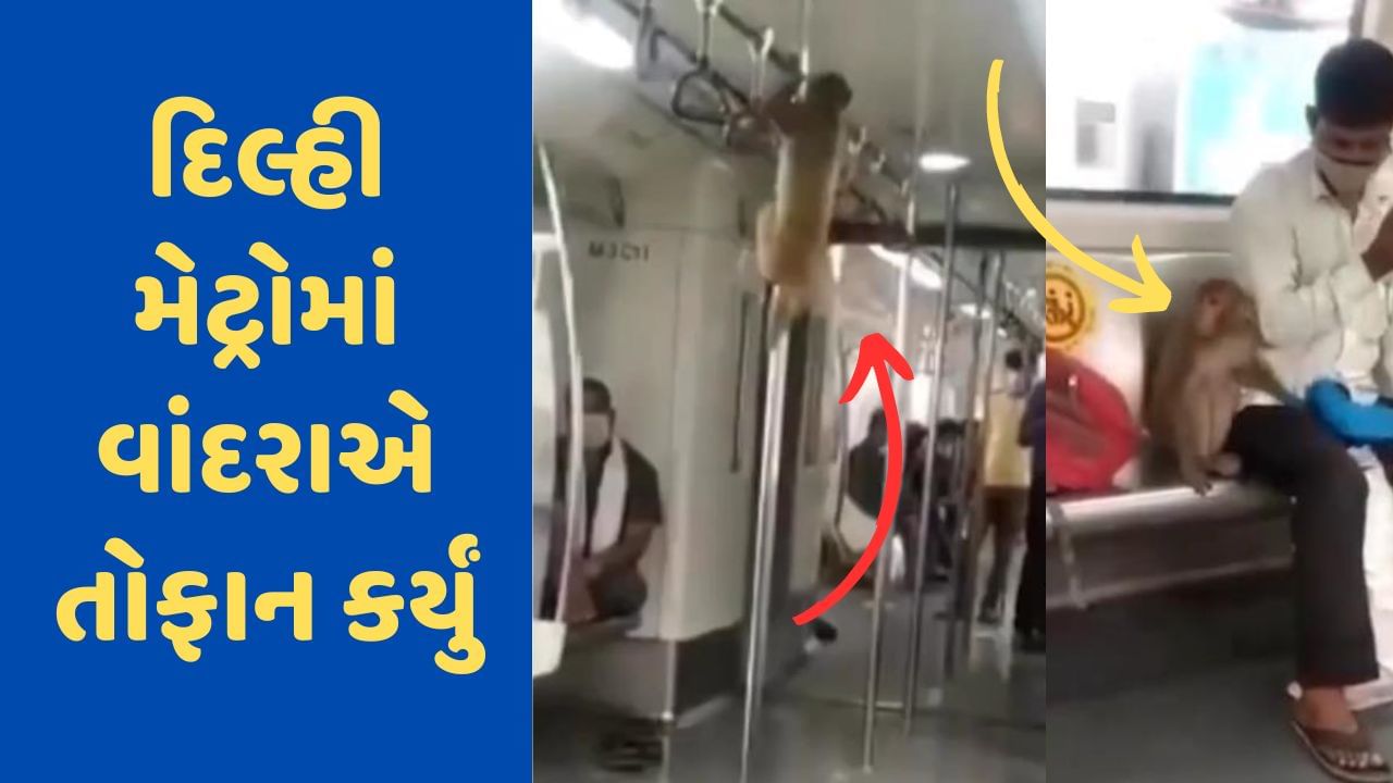 Viral Video: દિલ્હી મેટ્રોમાં વાંદરાનું તોફાન, 'પોલ ડાન્સ'થી આશ્ચર્યચકિત થઈ ગયા મુસાફરો, વીડિયો જોઈને લોકો હસી પડ્યા