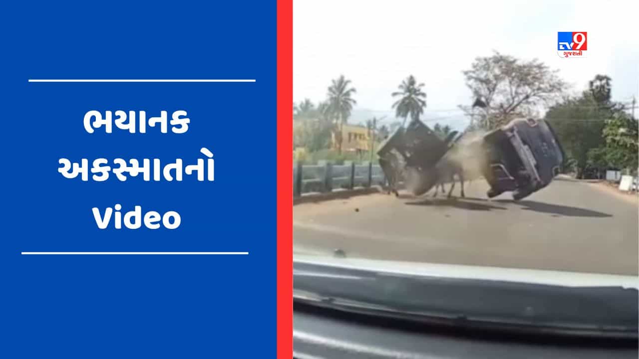 Viral Video : બળદગાડાને કાર ચાલક એ પાછળથી મારી ટક્કર, લાઈવ અકસ્માતનો વીડિયો થયો વાયરલ