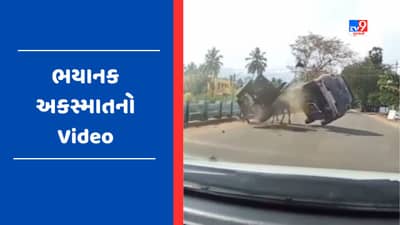 Viral Video : બળદગાડાને કાર ચાલક એ પાછળથી મારી ટક્કર, લાઈવ અકસ્માતનો વીડિયો થયો વાયરલ