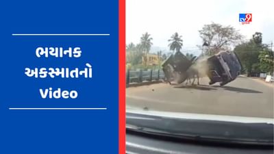 Viral Video : બળદગાડાને કાર ચાલક એ પાછળથી મારી ટક્કર, લાઈવ અકસ્માતનો વીડિયો થયો વાયરલ
