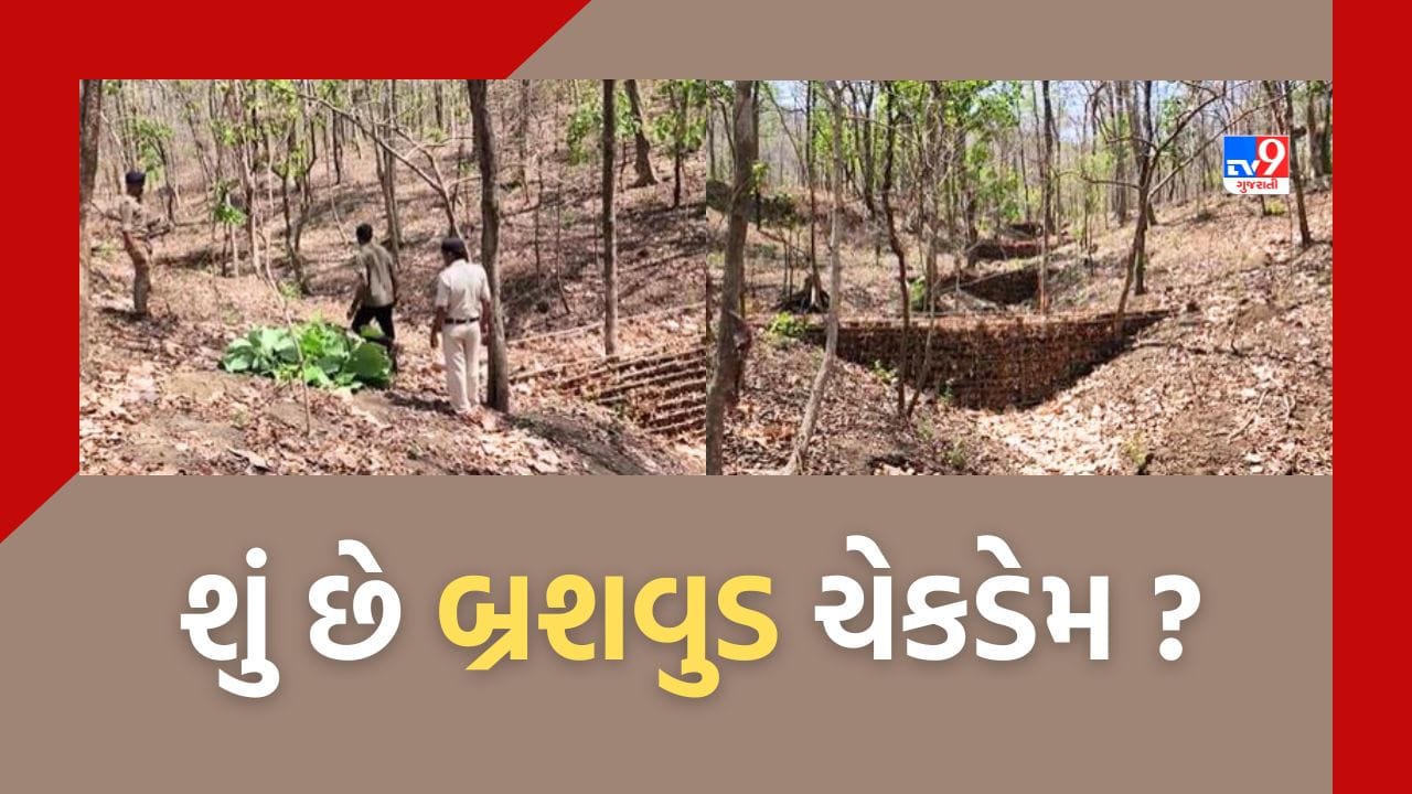 Tapi: કેવો છે બ્રશવુડ ચેકડેમ? શું છે વિશેષતા અને ફાયદા, જુઓ Video Tapi: કેવો છે બ્રશવુડ ચેકડેમ? શું છે વિશેષતા અને ફાયદા, જુઓ Video