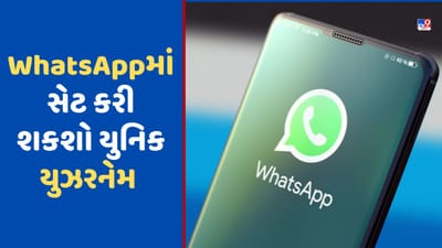 WhatsApp Features: ટૂંક સમયમાં સેટ કરી શકશો યૂનિક યુઝરનેમ, આવી રહ્યુ છે આ નવું ફીચર