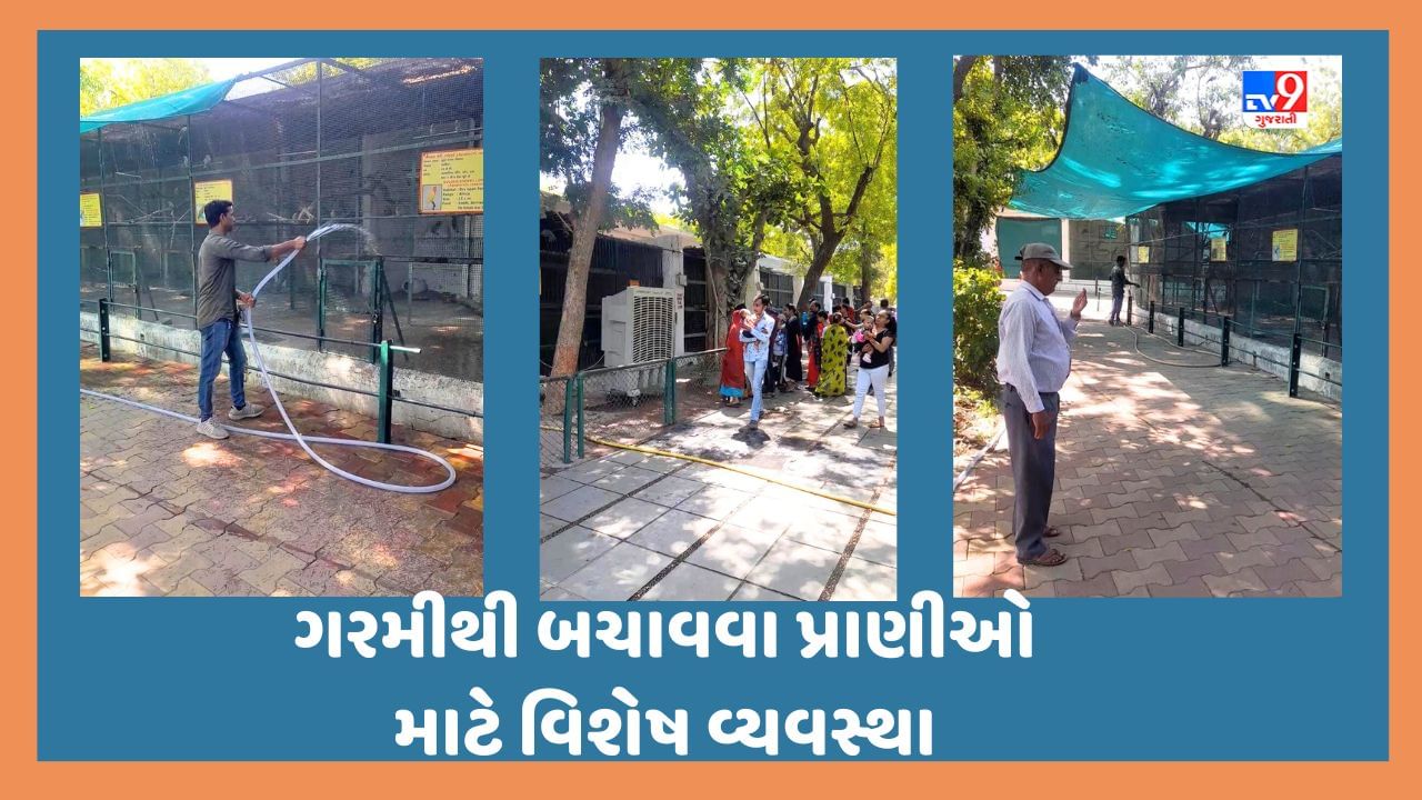 Ahmedabad: કાંકરિયા પ્રાણી સંગહાલયમાં પશુપક્ષીઓને ગરમીથી રક્ષણ આપવા કરાઈ વિશેષ વ્યવસ્થા, પ્રાણીઓના પાંજરા બહાર મુકાયા એરકુલર