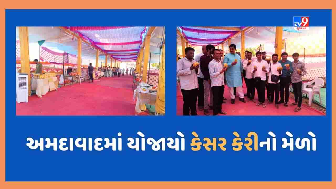 Ahmedabad: અમદાવાદીઓને હવે ઘર આંગણે જ મળી રહેશે ગીરની પ્રખ્યાત કેસર કેરી, તાલાલાના ખેડૂતો દ્વારા મેમનગર ખાતે કરાયુ કેરી મેળાનું આયોજન