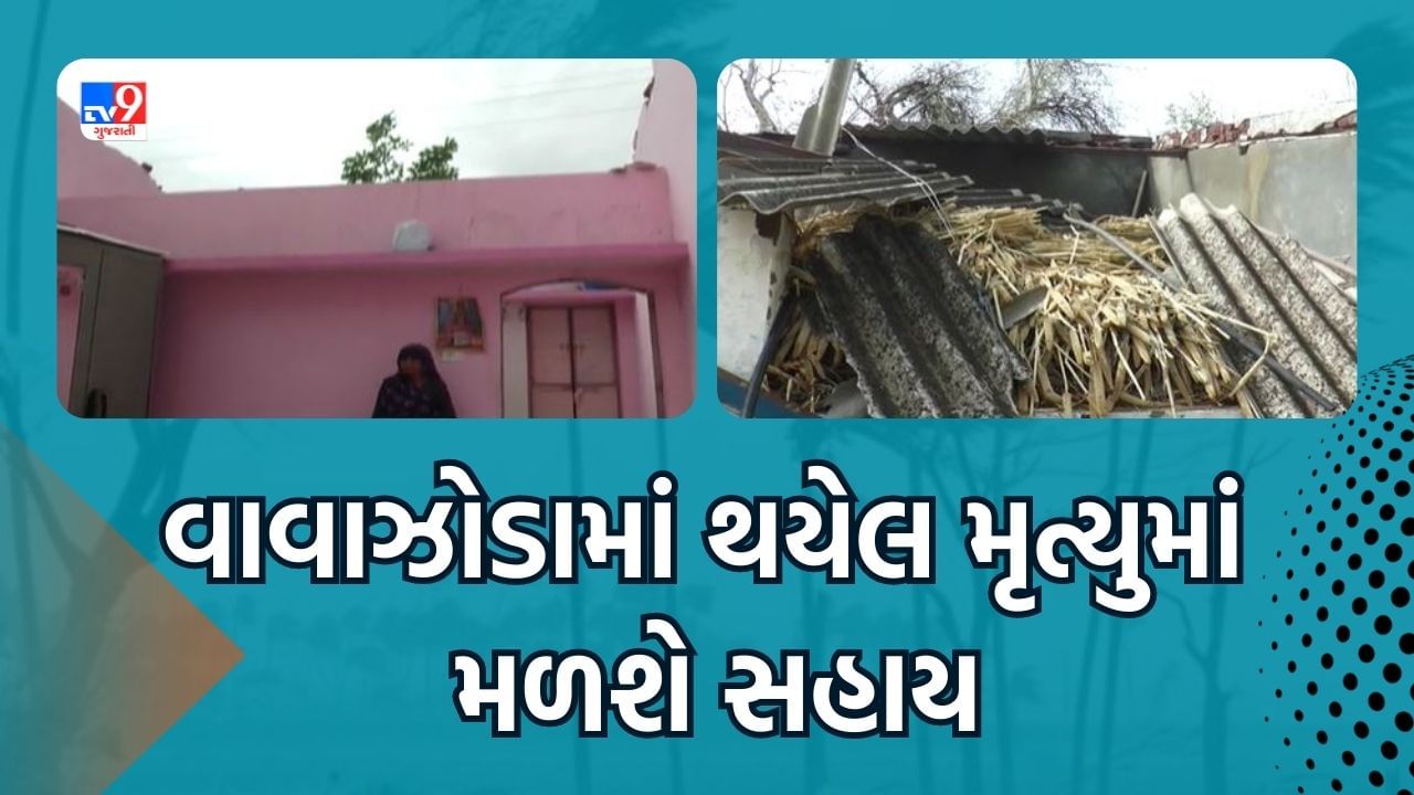 Ahmedabad : વીજળી પડવાથી થયેલા મૃત્યુમાં મળશે સહાય, બે માનવ મૃત્યુ માટે