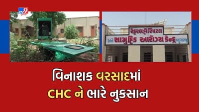 Gujarati Video: તોફાની વરસાદમાં બહુચરાજી CHCને ભારે નુકસાન, કેમ્પસમાં અનેક વૃક્ષો ધરાશાયી