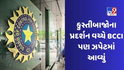 Wrestlers Protest: હવે BCCI પણ આવ્યું ઝપેટમાં NHRCએ મોકલી નોટિસ, 16 ફેડરેશન પાસેથી પણ માંગ્યા જવાબ