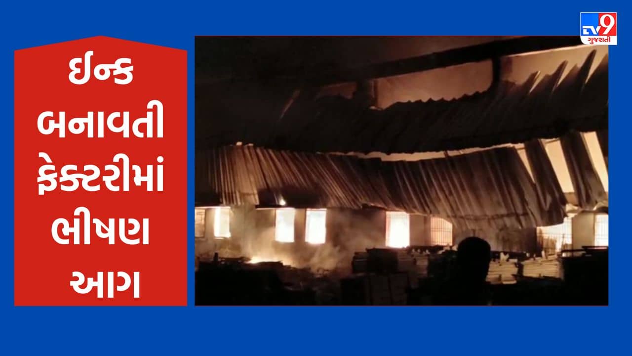 Gujarati Video: વડોદરાની સાવલીના મંજૂસર GIDCમાં ઈન્ક બનાવતી કંપનીમાં લાગી ભીષણ આગ, લાખોના નુકસાનનો અંદાજ