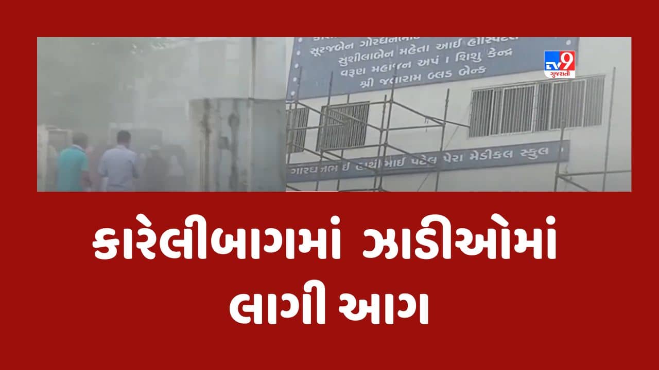 Breaking News : કારેલીબાગમાં બાળભવન પાસે ઝાડીઓમાં લાગી આગ, આગનો ધુમાડો વ્યાપક બનતા લોકોમાં ભાગદોડ મચી