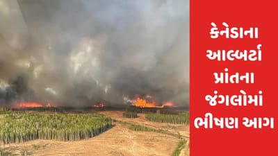 Alberta Fire: આલ્બર્ટાના જંગલોમાં ભારે આગ ફાટી નીકળતા ઈમરજન્સી જાહેર કરાઈ, 24000 વધુ લોકોના કરાયા રેસ્ક્યુ