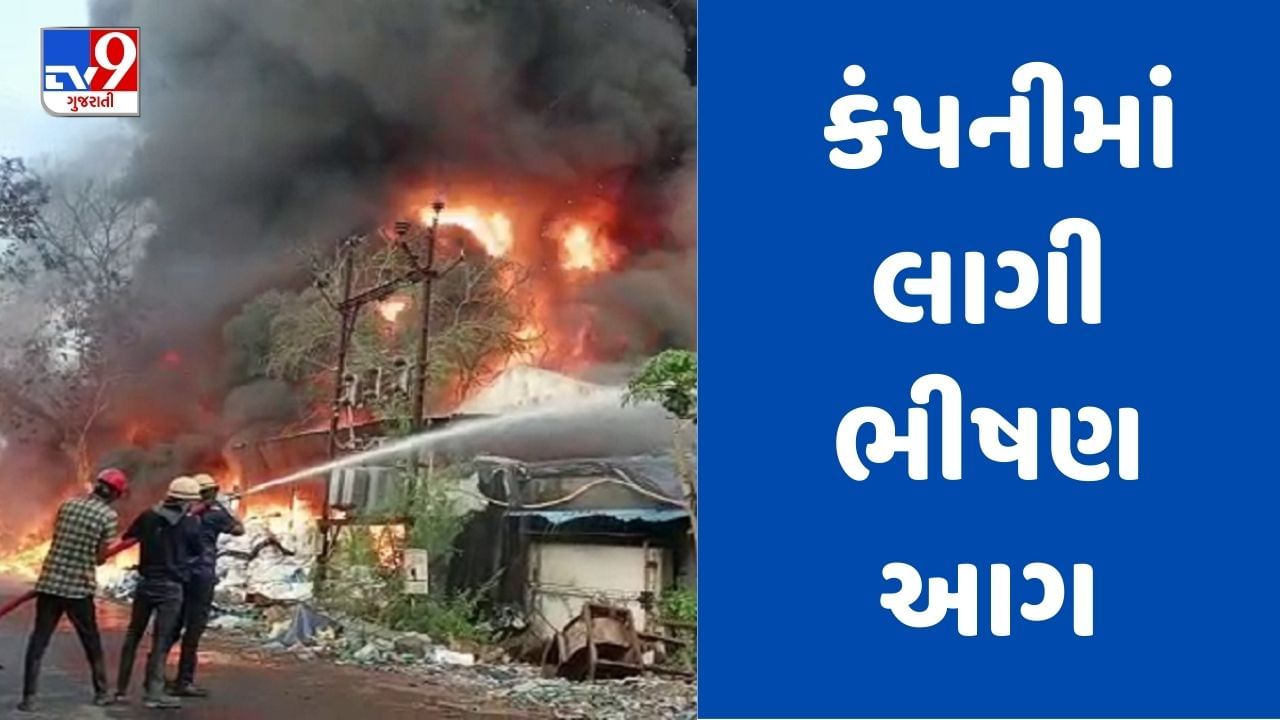 Breaking News : દમણના અટીયાવાડની થર્મોકોલ અને યાર્ન બનાવતી કંપનીમાં લાગી ભીષણ આગ, 2 કામદારો ઈજાગ્રસ્ત