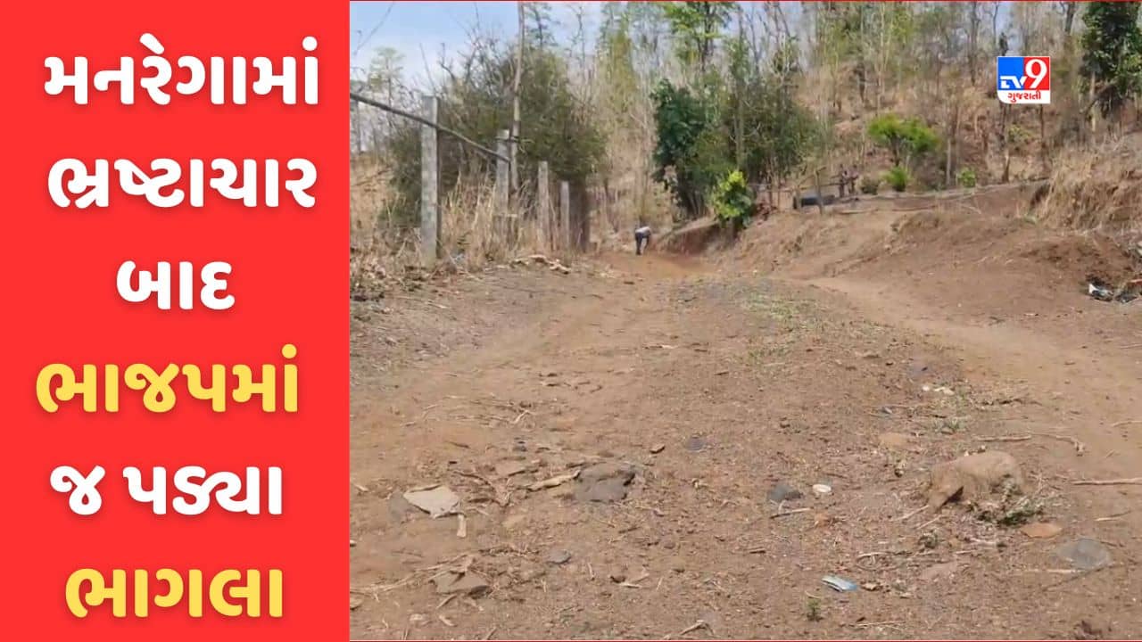 Gujarati Video: ડાંગમાં મનરેગાના કામમાં ભ્રષ્ટાચાર સામે આવતા ભાજપમાં જ પડ્યા બે ભાગલા, જિલ્લા પ્રમુખના રાજીનામા બાદ પણ નથી શમ્યો વિવાદ