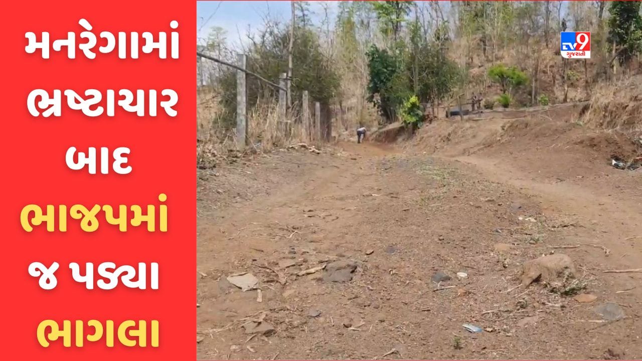 Gujarati Video: ડાંગમાં મનરેગાના કામમાં ભ્રષ્ટાચાર સામે આવતા ભાજપમાં જ પડ્યા બે ભાગલા, જિલ્લા પ્રમુખના રાજીનામા બાદ પણ નથી શમ્યો વિવાદ Gujarati Video: ડાંગમાં મનરેગાના કામમાં ભ્રષ્ટાચાર સામે આવતા ભાજપમાં જ પડ્યા બે ભાગલા, જિલ્લા પ્રમુખના રાજીનામા બાદ પણ નથી શમ્યો વિવાદ