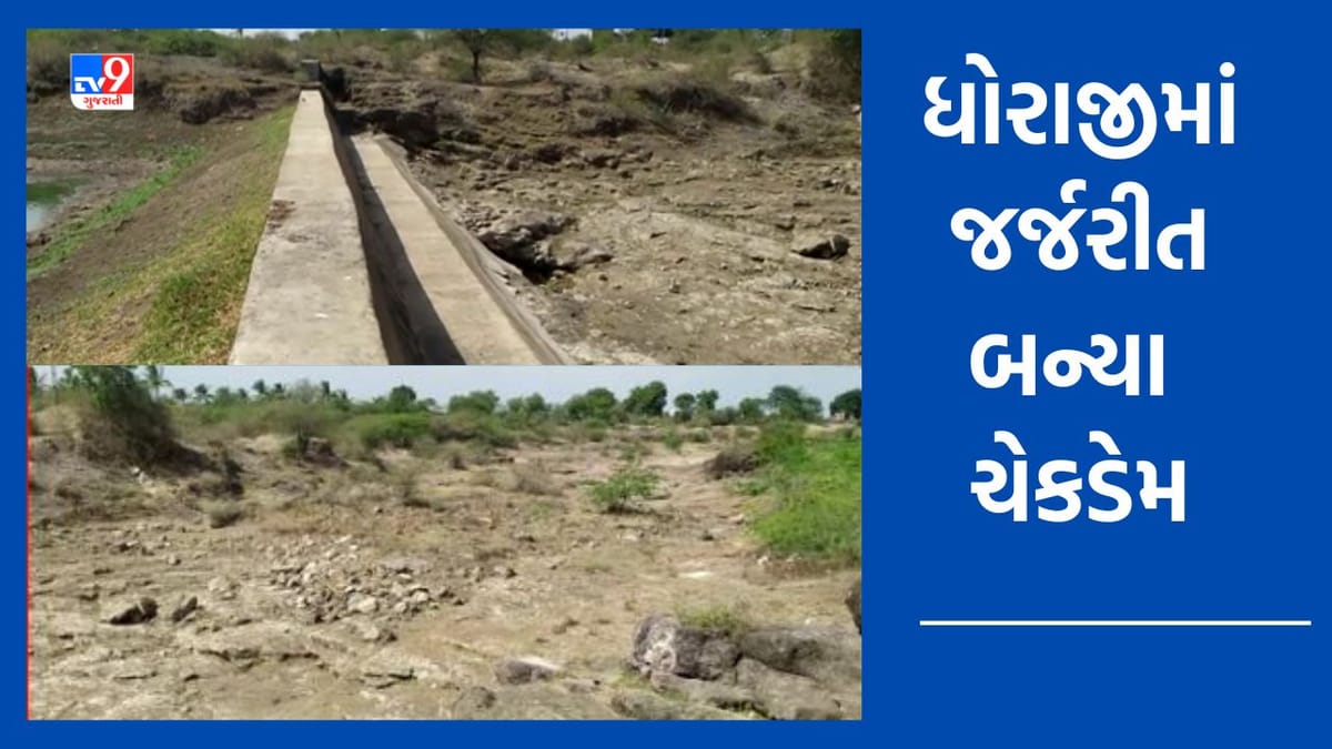 Rajkot: ધોરાજીમાં ચેકડેમો બન્યા બિસ્માર, જળસંગ્રહના હેતુથી બનાવાયેલા ચેકડેમમાંથી જ વહી રહ્યુ છે પાણી